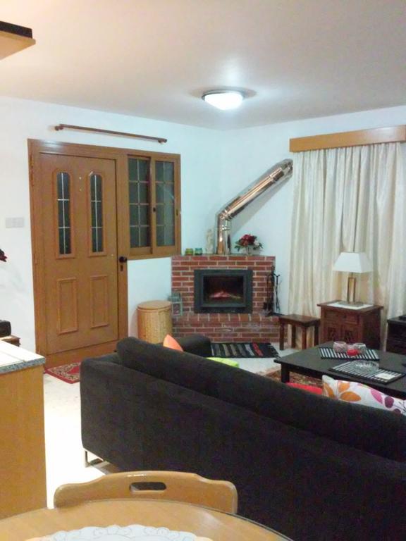 Zena Holiday Villa Пісурі Номер фото