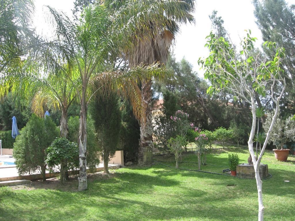 Zena Holiday Villa Пісурі Екстер'єр фото